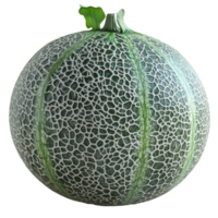 Intricate design of a fresh cantaloupe showcasing its unique texture and color isolated on transparent background. png