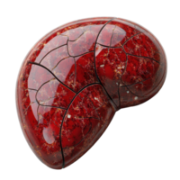 Intricate patterns on a polished red stone resembling a natural element shaped like a kidney from a mineral collection isolated on transparent background. png