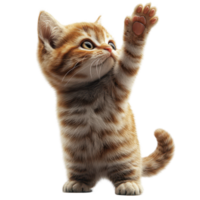 Cute orange tabby kitten playfully reaching out with paw in bright light against a simple background isolated on transparent background. png