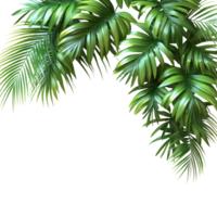 Lush palm leaves cascade from the corner of a bright background in a tropical setting isolated on transparent background. png
