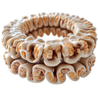 Unique sculpture showcasing the intricate details of coral structure in artistic representation isolated on transparent background. png