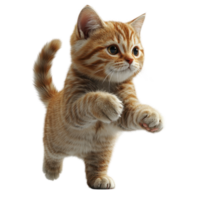 Cute orange tabby kitten playfully exploring a bright indoor space with curiosity and energy during the afternoon isolated on transparent background. png