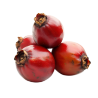 Guarana Seeds White Background on transparent background. png