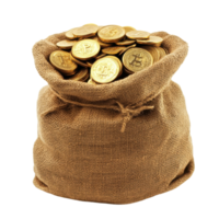 Golden Coins Sack White Background on transparent background. png