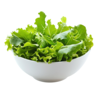Fresh Green Salad in Bowl on transparent background. png