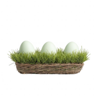 A serene display of three delicate green eggs nestled in soft grass. png