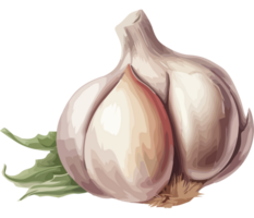 Fresh organic vegetables, ripe garlic, seasoning icon isolated png