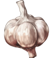 A garlic bulb icon isolated png
