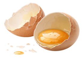 Broken Eggshell, Yolk, Egg White, Food, Cooking, Nutrition, Breakfast, Recipe, Ingredient png