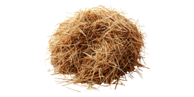 Pile of dried hay straw isolated on transparent background png