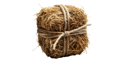 Hay bale with rope tied around it isolated on transparent background png