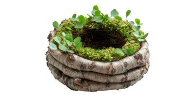Natural twig nest with green leaves and moss isolated on transparent background png