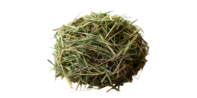 Hay bale isolated on transparent background png