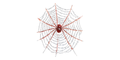 Red spider on glossy web isolated on transparent background png