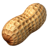 Close-up of a Single Peanut in its Shell png