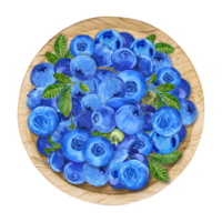Blueberries in a bowl, watercolor. Ripe berries in a wooden plate on a transparent background, top view. Farm harvest, rustic style, botanical illustration. Clipart for packing yogurt, jam, menu. png