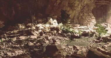 Exploring a tranquil cave with vegetation and natural rock formations video