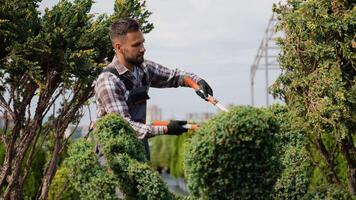 Gardener Pruning Decorative Trees at a Nursery Center video