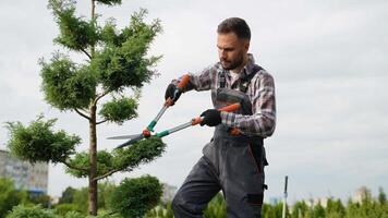A gardener in overalls uses pruning shears to trim a decorative tree in a garden center video
