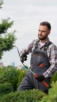 Gardener Pruning Decorative Trees at a Nursery Center video