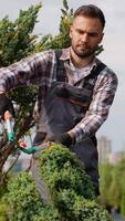 Gardener Pruning Tree for Sale in a Nursery video