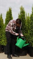 Gardener Watering Plants with a Watering Can in Garden Center video