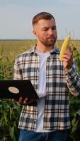 Farmer Analyzing Crop Data on Laptop in Cornfield at Sunset video