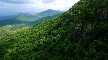 Expansive Lush Green Forest Landscape with Rolling Hills and Cloudy Sky photo