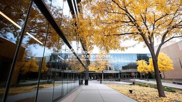 Modern Building Reflections with Autumn Trees in Urban Setting on Sunny Day photo
