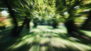 Abstract Motion of Trees in Forest Capturing Speed and Movement in Green Environment photo