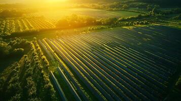 Aerial view of solar farm and lush greenery under a golden sunset sky photo
