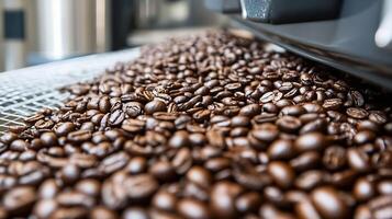 Close Up of Fresh Roasted Coffee Beans on Conveyor Belt in Modern Roasting Facility photo