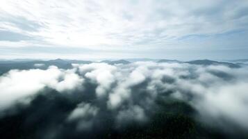Misty Mountain Landscape with Forest Covered in Clouds Creating a Mystical Enigma photo
