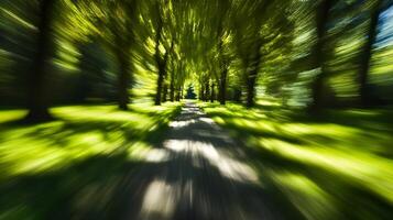 Scenic Tree-lined Path with Motion Blur Effect in Lush Green Forest Setting photo