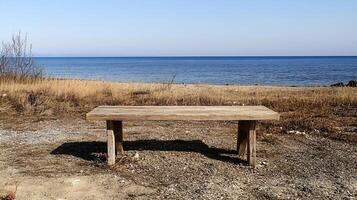 Rustic Bench Overlooking a Quiet Ocean Beach on a Clear Day photo