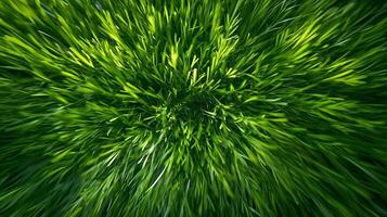Vibrant Motion Blur of Green Grass Creating Dynamic Texture Effect photo