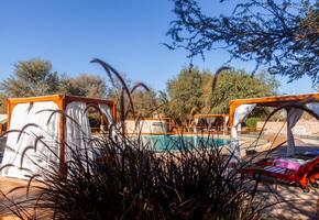 a pool with a canopy photo