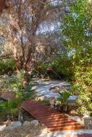 Yoga space with a beautiful area with plants, trees and flowers photo