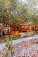 a small house with a cactus in the front yard photo
