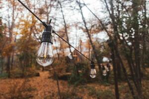 Clothesline with lights in a forest of dry trees and oranges photo