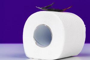 Roll of toilet paper and soft feather on color table. creative photo. photo