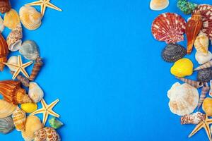 Flat lay. Top view. Frame of shells of various kinds on a blue background. photo