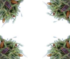 Christmas composition with fir tree branches and cones on white background. New Year festive design template. Symmetrical banner. photo