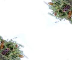 Christmas composition with fir tree branches and cones on white background. New Year festive design template. photo