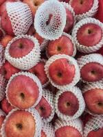 fresh apple varieties displayed in a supermarket, piles of fresh apples photo