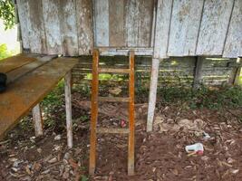 old wooden stairs, wooden stairs in old hut building photo