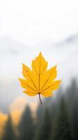 Golden maple leaf suspended in the air against a misty forest backdrop during autumn season photo