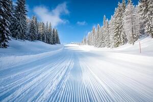 A pristine snow-covered ski slope surrounded by pine trees under a clear blue sky on a sunny winter day in the mountains photo