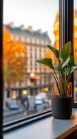A cozy indoor plant by the window overlooking a vibrant city street during autumn sunset in an urban setting photo