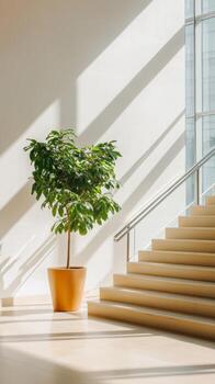 A potted tree stands next to large windows, casting shadows on the stairs in a modern building during daylight photo